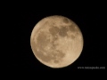 The Moon - Slow motion with Canon EOS 7D - HD 720p