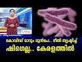 ഭീതി സൃഷ്ടിച്ച് ''ഷിഗെല്ല..'' കേരളത്തില്‍.! ജാഗ്രത.! Shigella bacteria amidst Corona panic in Kerala