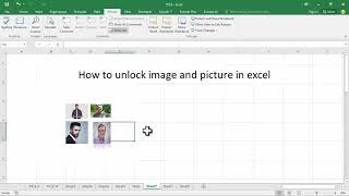 How to unlock image and picture in excel