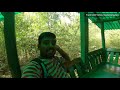 നിസർഗധാമയിലെ മുളങ്കാടുകൾ nisargadhama bamboo forest coorg