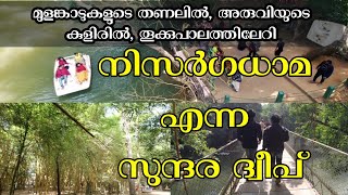 നിസർഗധാമയിലെ മുളങ്കാടുകൾ | Nisargadhama Bamboo forest Coorg |