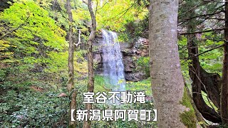 室谷不動滝【新潟県阿賀町】Muroya Fudo Falls [ Agamachi, Niigata Prefecture ]