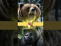 bear vs. the wild epic showdowns