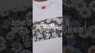 ユニクロでオリジナルTシャツを作りました【一人暮らし独身OL】