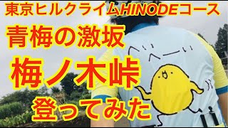 2020年青梅の激坂【梅ノ木峠】登ってみた