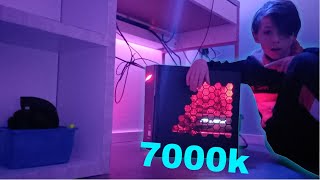 Mój nowy komputer za 7000K!