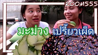 มะม่วงเปรี้ยว​ๆ เผ็ด​ๆ กินส้มมะม่วงสดๆจากต้น ກິນສົ້ມຫມາກມ່ວງ ເຜັດໆ ແຊບໆ