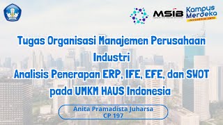 OMPI - Analisis Penerapan ERP, IFE, EFE, dan SWOT Pada Haus Indonesia [SIB X PT Ctech ERP Indonesia]