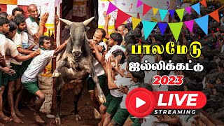 Palamedu Jallikattu Live 2023 | பாலமேடு  ஜல்லிக்கட்டு நேரலை | Vikatan