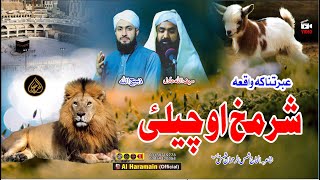 Saifullah Adil \u0026 Zabihullah Madani  || Pashto HD 2025 Best Waqia || 2025 natona