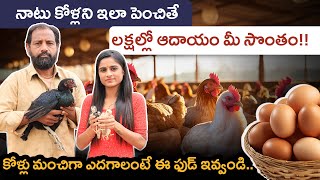 Country Chicken Farming in Telugu - Complete Details on Country Chicken Farming | Natukodi farming