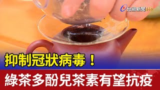 抑制冠狀病毒！ 綠茶多酚兒茶素有望抗疫