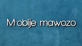 M'oblije Mawozo,Will,Official video lyrics by Alvin production