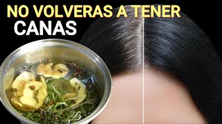 Todo el CABELLO Blanco se Pone Negro con Esta Receta