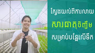 ស្វែងយល់លាយសារធាតុចិញ្ចឹមA,B​ Mix Hydroponic Fertilizer