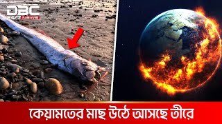 কিসের আলামত? | DBC NEWS