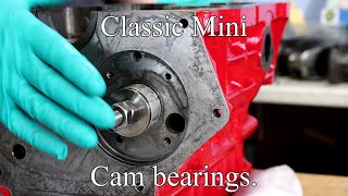 Classic Mini Cam bearings.