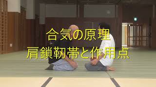 合気の技術：肩鎖靭帯と作用点　 肩を作用点とする合気柔術の技術　　Aiki Jujutsu  Techniques　＃合気　#aikido　#合気柔術　＃合気道　＃中心帰納