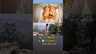 瑙力法 横肌练习