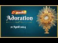 🔴 LIVE 21 April 2024  Adoration 11:00 AM | Madha TV