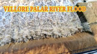 வேலூர் பாலாற்றில் வெள்ளம் | VELLORE PALAR RIVER FLOOD|   அதிசயம் ஆனால் உண்மை