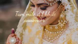 Tum mile Dil khile slowed and reverb song || new Hindi song [lofi world99]