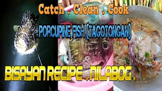 Night Spear Fishing Porcupine Fish (Tagotongan) Catch Clean and Cook. Bisayan Recipe (Nilabog)