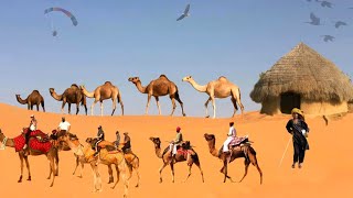 Camel 🐪 in village || Camel runing full fast ||   اونٹ کی دوڑ دیکھیں