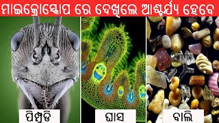 ମାଇକ୍ରୋସ୍କୋପ୍ ରେ ଦେଖିଲେ ଆପଣ ଆଶ୍ଚର୍ଯ୍ୟ ହୋଇଯିବେll 10 things under microscope ll SCIENCE SEARCH