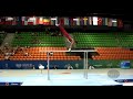 MOUSSA Mohamed (EGY) - 2019 Artistic Junior Worlds, Gyor (HUN) - Qualifications Parallel Bars