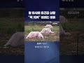 밤 10시에 초긴장 상황