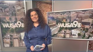 Meet Local Author Rebecca Morrison