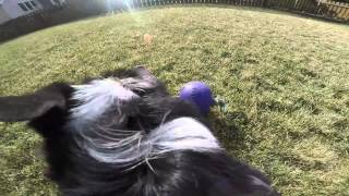 ZephyrGoPro JollyBall 2015 01 01