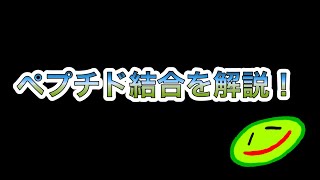 ペプチド結合について学びましょう！【生物基礎固め講座】#4