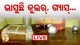 🔴 LIVE | ଭାସୁଛି କୁଲର୍, ଗ୍ୟାସ୍...| Severe Waterlogging in Bolangir’s Rajivnagar Pada | OR |