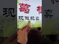 廈門美食 福記 葛根酥 #popo543 #shorts