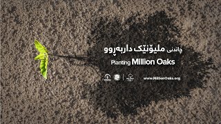 Launching Million Oaks Project