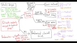 Study Design: Lecture