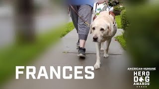 2018 Hero Dog Awards | Guide/Hearing Dog Category Winner – Frances