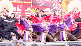 [4K] 龍谷大学 華舞龍　犬山踊芸祭 2024 日曜日 (中央)