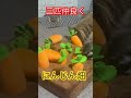 youtubeshorts 癒し ミーアキャット ＃チワワ shorts動画 にんじん掘ると美味しいのが😋😋😋