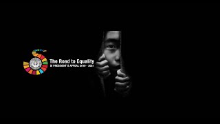 SI Voices Webinar 1: Exploring the Road to Equality