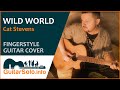 “Wild World”. Guitar Cover (Fingerstyle)