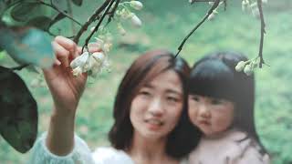 ◤台灣花旅◢ TAIWAN BLOOMING(中文30秒版)