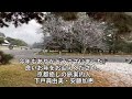 うっすら雪の京都御苑より、皆様、良いお年を　2020 12 31