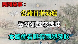 民間故事：公豬日漸消瘦，岳母卻越來越胖，女婿偷看嚇得兩腿發軟