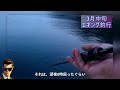 【エギング】3月中旬の状況をログする　五島列島（上五島）