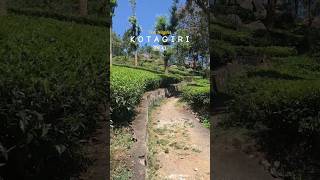 Kotagiri | Travel | #kotagiri #ooty #nilgiris #onedaytrip #mountains #hills #tamil #shorts #nature