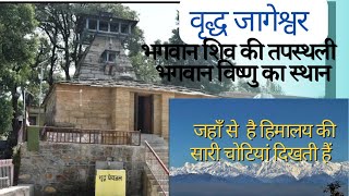 वृद्ध जागेश्वर दर्शन jageshwar अलौकिक धाम दिव्य दर्शन हिमालय का भी अद्भुत नज़ारा #viral #jageshwar