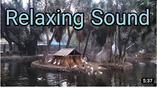 Relaxing Music For Stress Relief | Beautiful Duck Ponds and Swan Lakes with Sound | Nature Magic